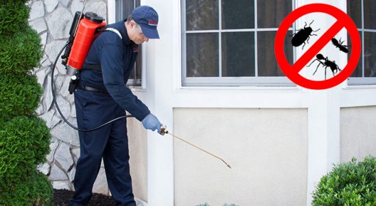 Hayrabolu Kemirgen İlaçlama böcek ilaçlama ve haşere kontrolü — ilaclama-tr.com